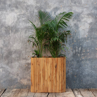 Florela Planter